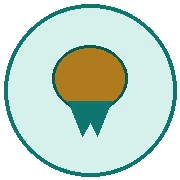 کالای اورجینال